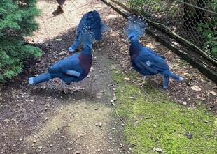 たいへん長らく...