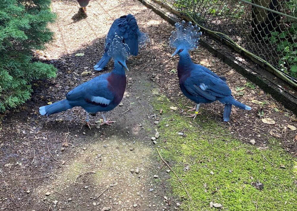 たいへん長らく...の写真