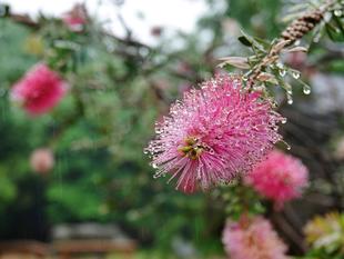 雨の日のズーラシア散歩