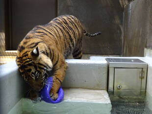 仕組みを理解しているようで・・・