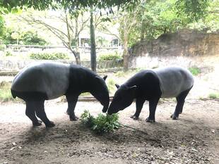 少しずつ、少しずつ