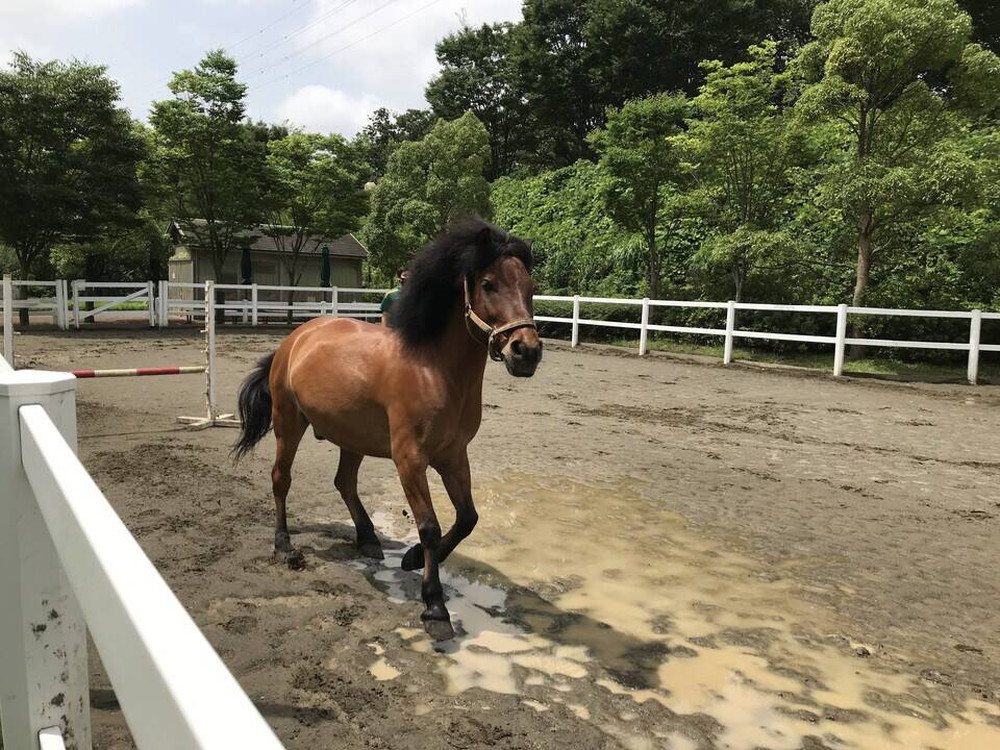 ぱかぱか広場に行ってみたの写真
