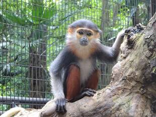 驚いていたようですが。