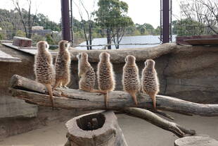 1,2,3,4,5,6,7,8,9...