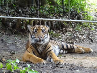 もう潜りません・・・