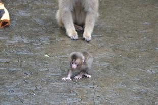 赤ちゃんの名前決まりました！