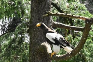 まるで、レギンスのような
