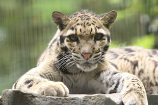 アニル、誕生日おめでとう!!　