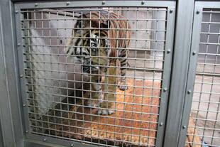 7月の体重測定の様子！