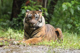 なぜ、そんなところで・・・