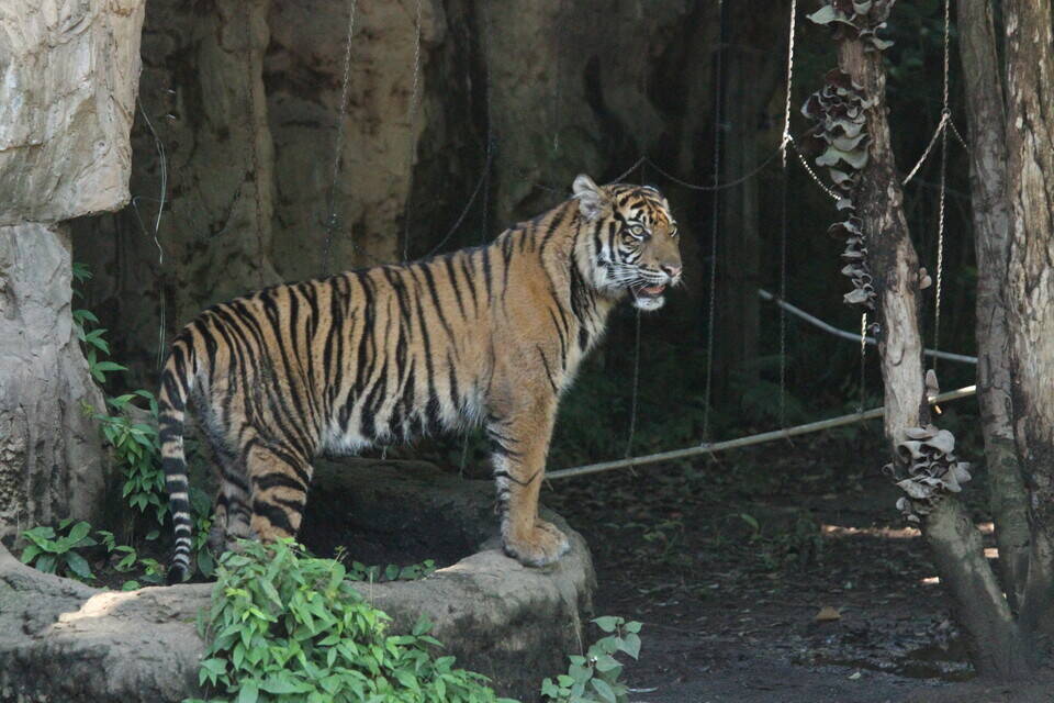 ムジュ、また一歩前進!!の写真