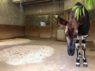 ルルルルルル～♬