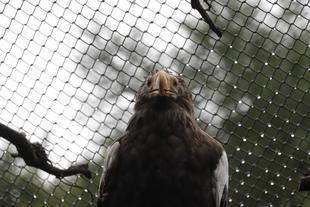 今更だとは思いますが