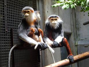 気になるラーの座り方