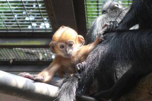 もうすぐ4ヶ月。