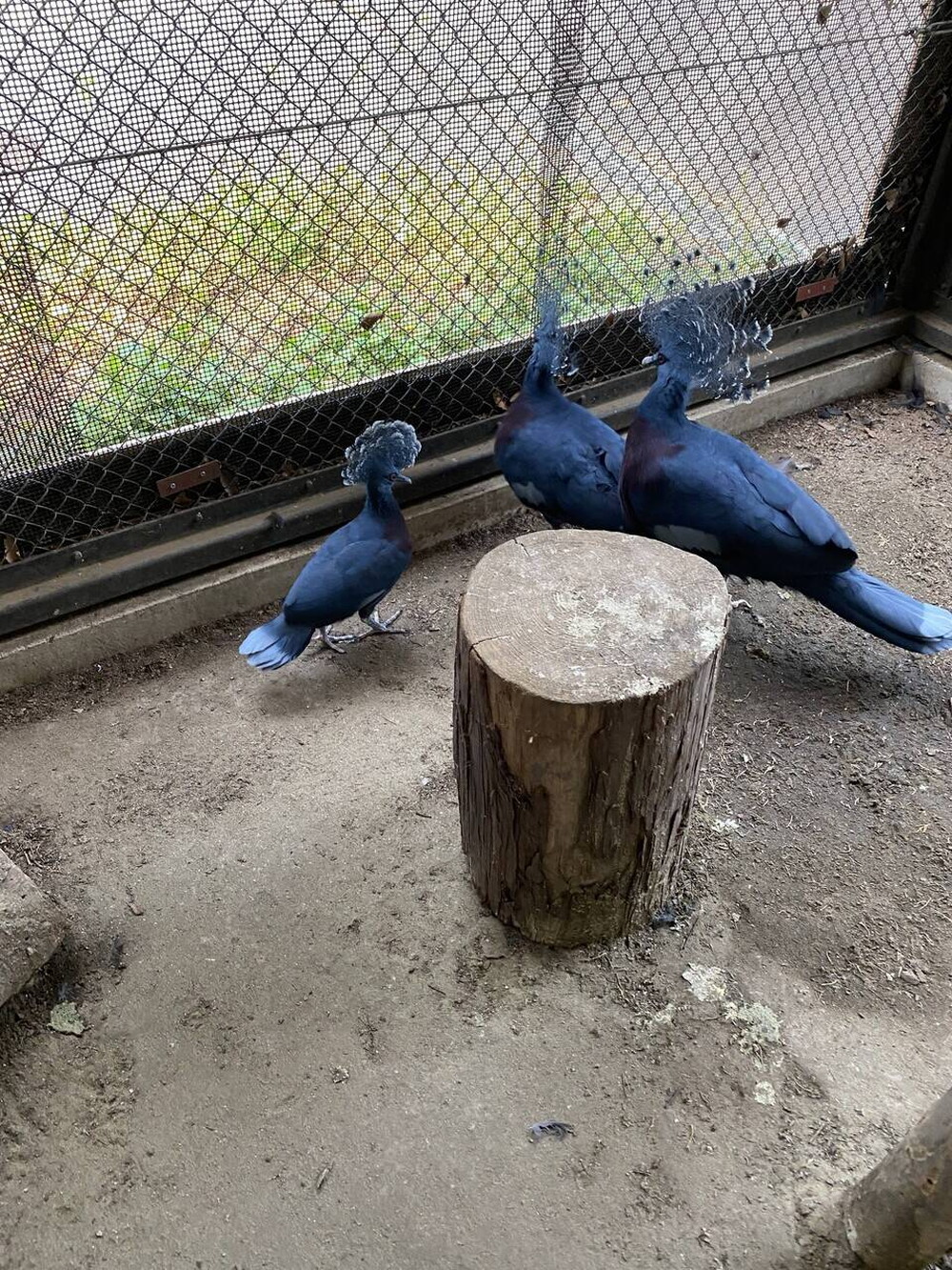 親子なかよく...の写真