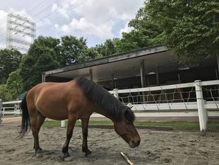 「食いしん坊、光翔」改め...