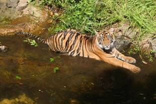 続・ムジュに遊具を！