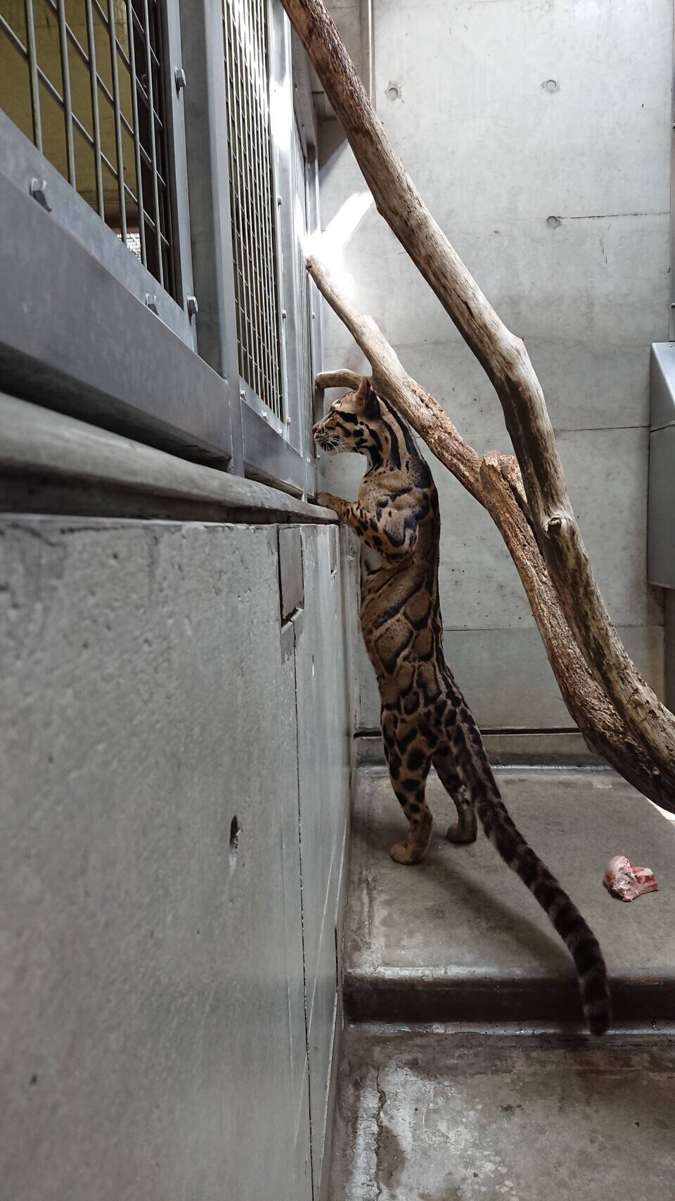 何が気になるの???の写真