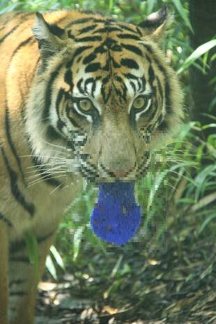 ラウトの舌が！？( ﾟДﾟ)！？