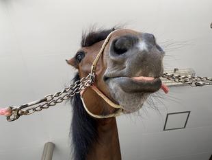 ペロちゃん part2