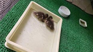 大きくなりました~☆