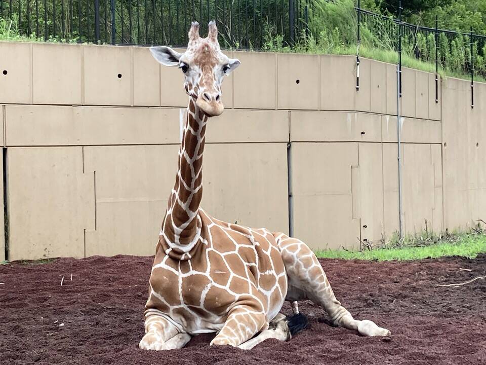 色々お試し中の写真