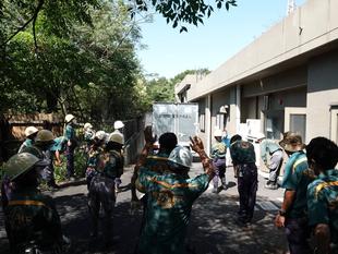 ライオンのソラが出園しました②　～当日の様子と思い出～