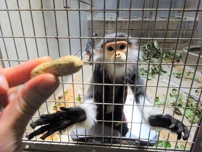 残るはあと1頭!!の写真