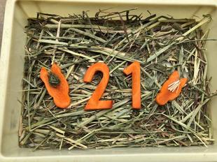 敬老の日には・・・