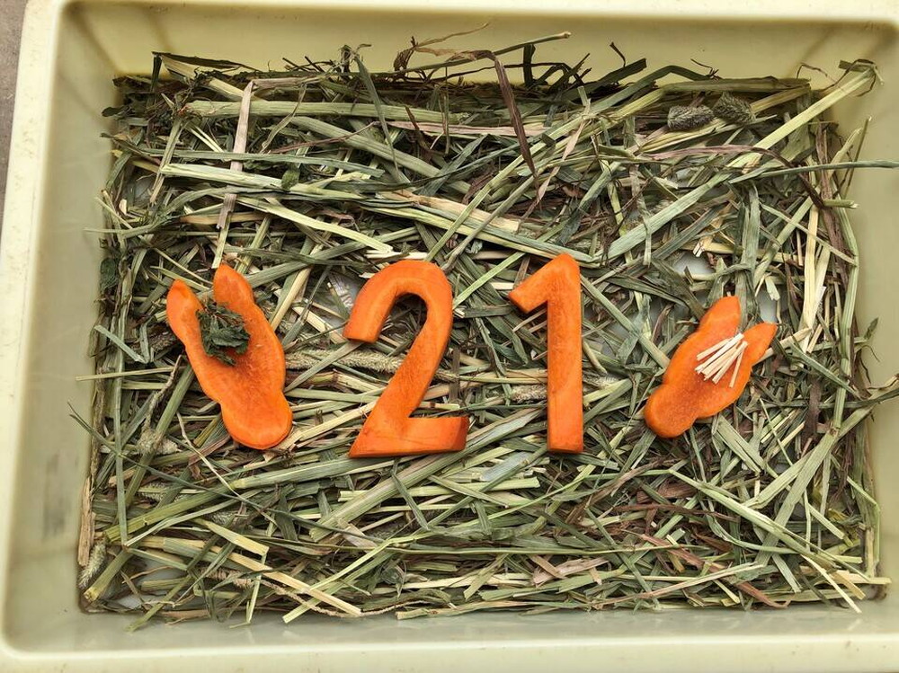 敬老の日には・・・の写真