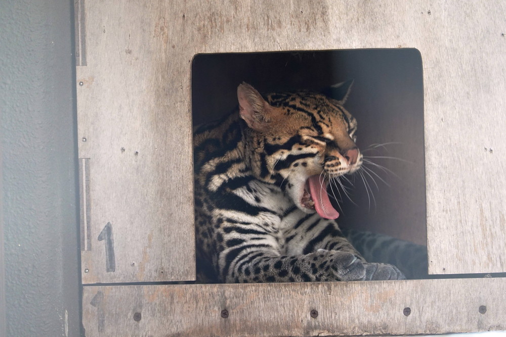 メロディ・・安らかに。の写真
