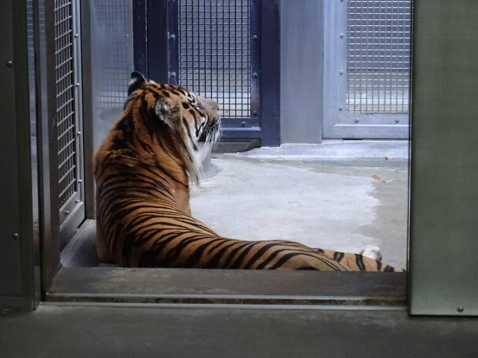 朝、休んでいる場所の写真