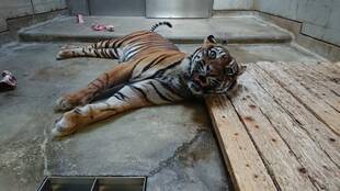 段差を活用して・・・