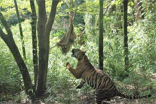 中古の遊具でもー①