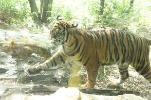 中古の遊具でもー②