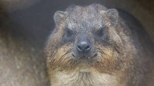 怒ってないよ！！