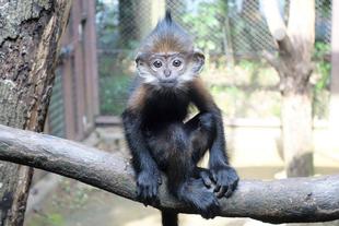 ロンロン、生後半年に！