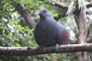 1年経ってノトゥ激変