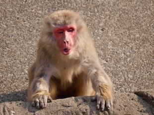 エツコの冬支度