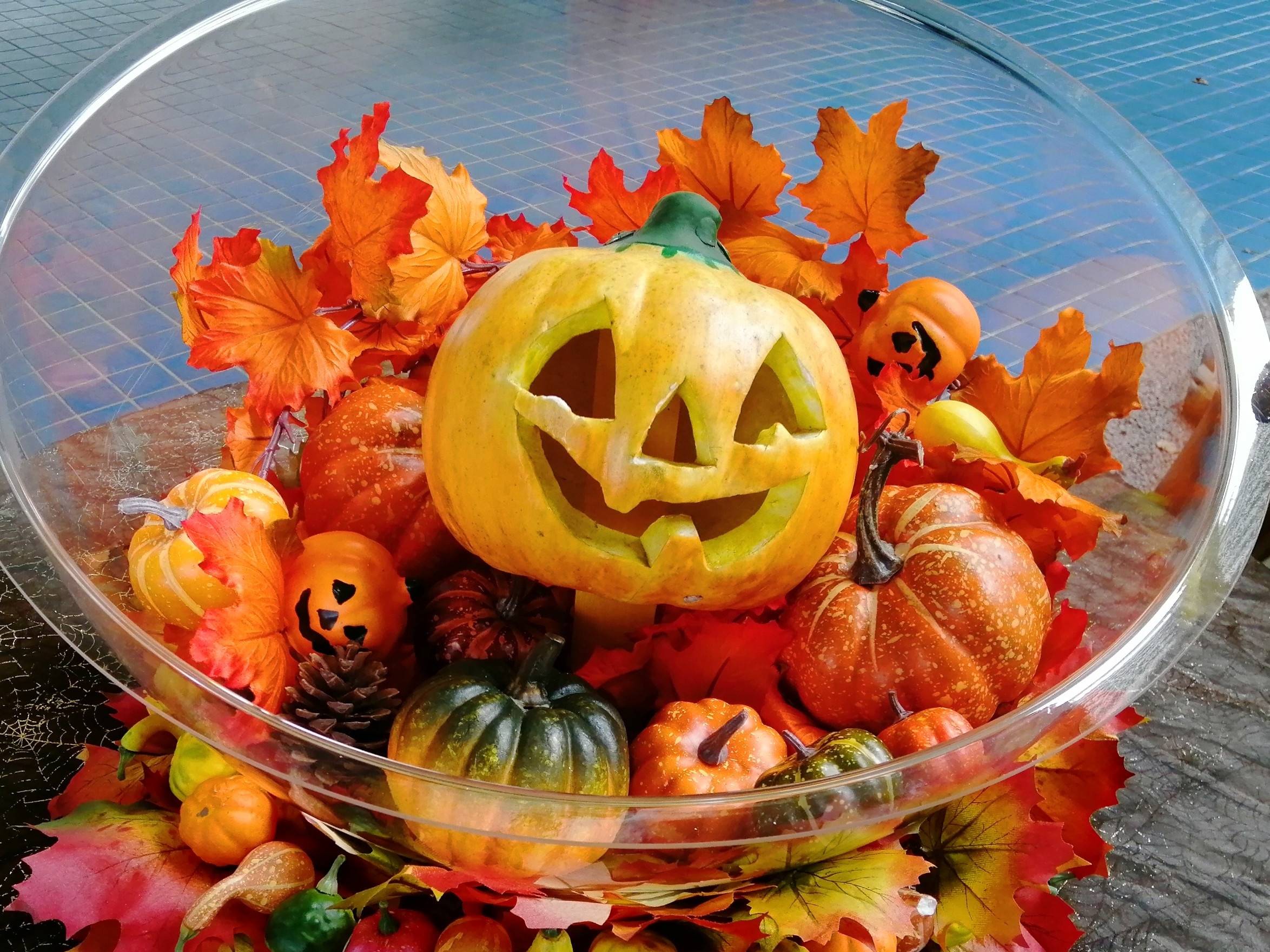 もうすぐハロウィン!の写真