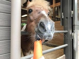 匂いの先には...