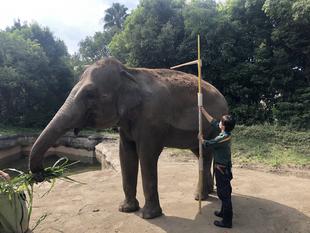 各部位測定しました！