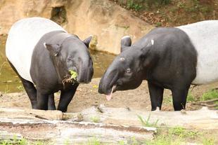 年齢をひとつ重ねて