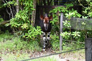 ☆お誕生日おめでと☆