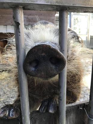 乗れちゃいました!