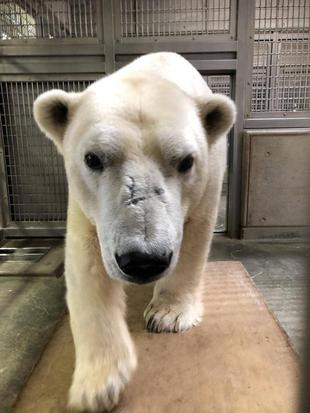 2020年11月の体重は...