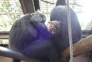 まったりタイム