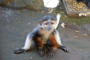 ホアも生後半年を過ぎました