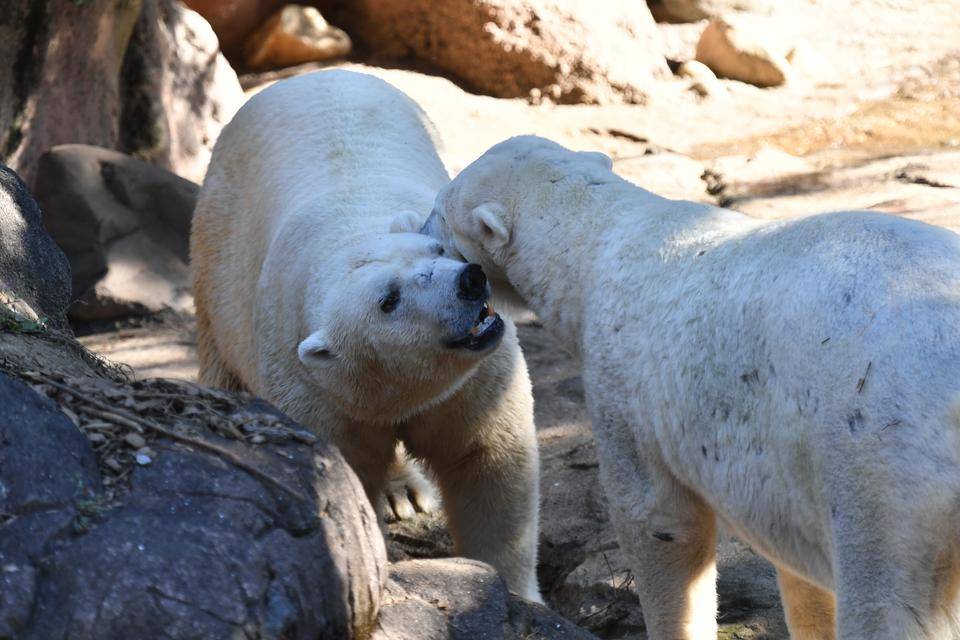 はじまったーと思いきや...の写真